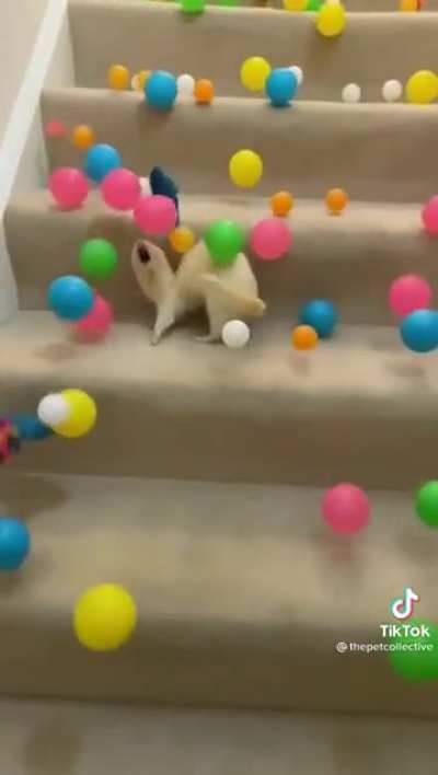 Too much going on