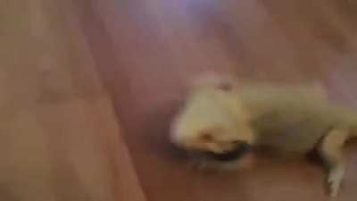 its a quicky
