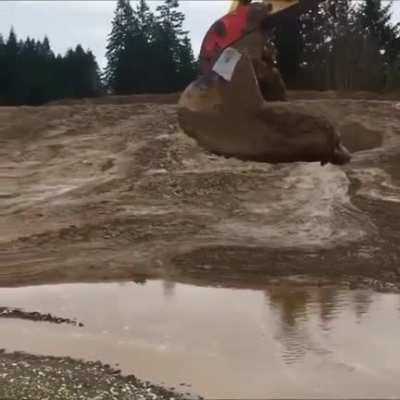 Rescuing a deer stuck in the mud using a backhoe.