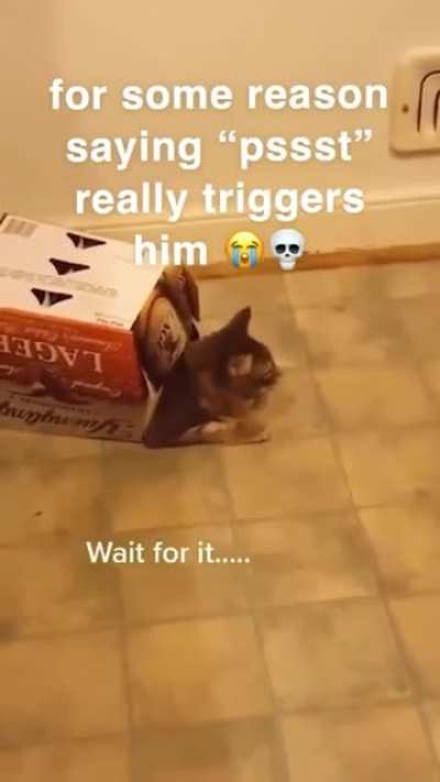 (not mine, found it on instagram)