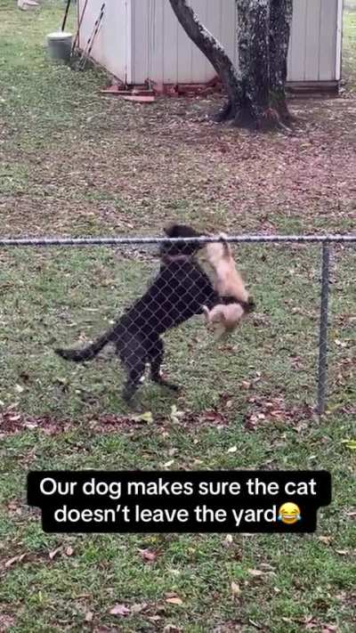 You're not going anywhere