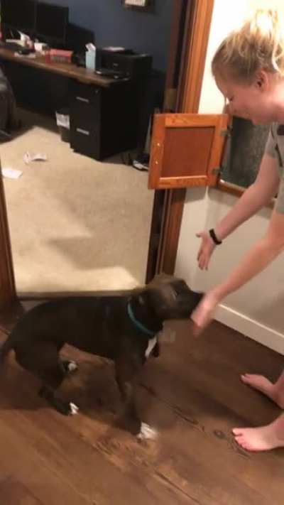 Dog didn’t know her mom is a magician