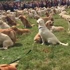 Guess this is what heaven looks like