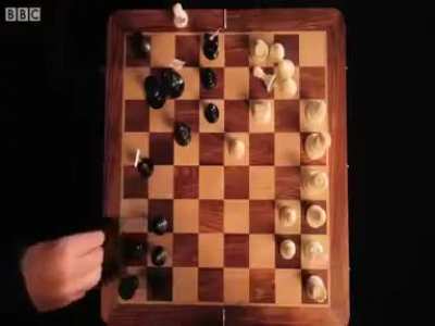 Chess world champion