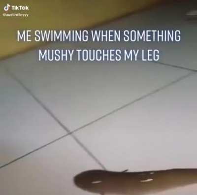 Taking flight