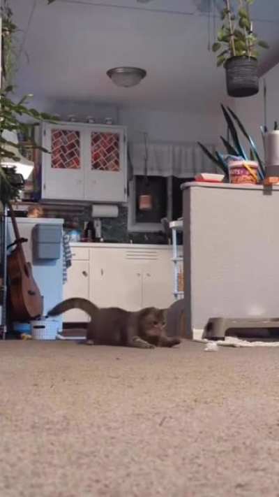 HMC while I do the worm