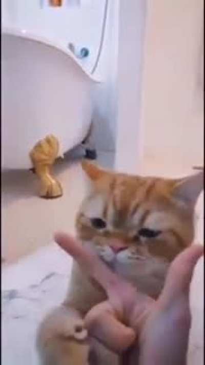 I can't ?