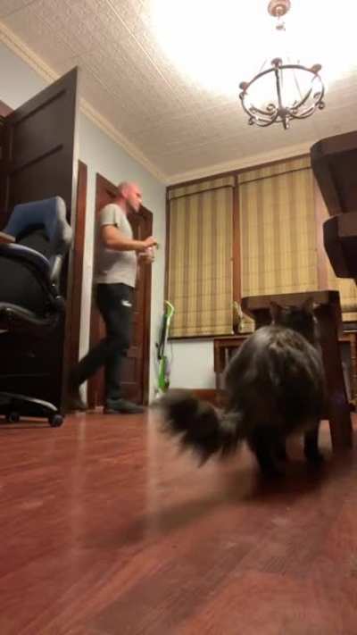 maybe maybe maybe