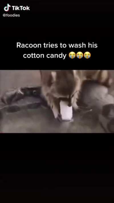 Racoon loses his cotton candy