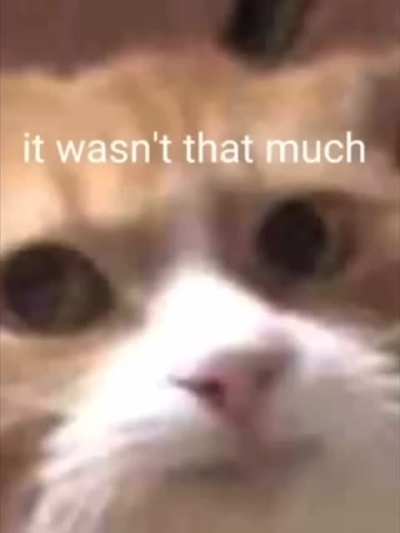 poor cat