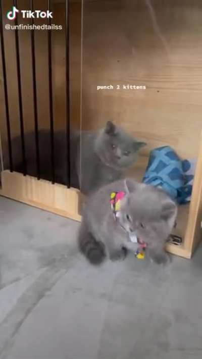 Smacks for everyone