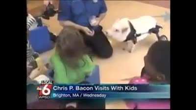 Chris P. Bacon