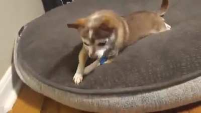 Pure Betrayal