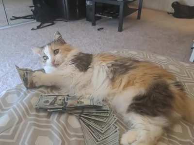 Hungry for the $$$