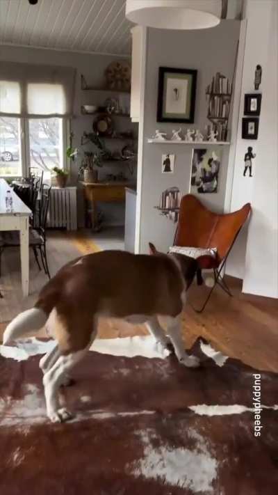 Atleast he is trying!