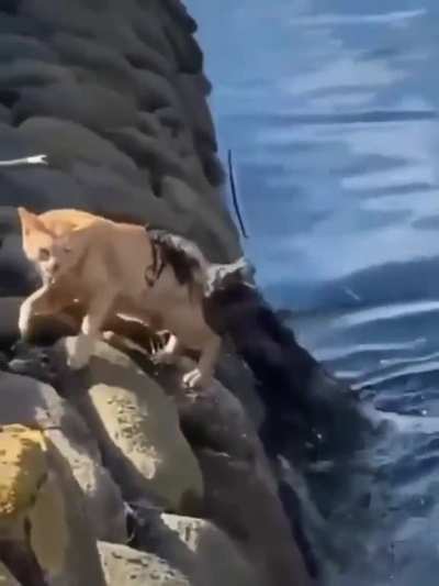 Maybe maybe maybe