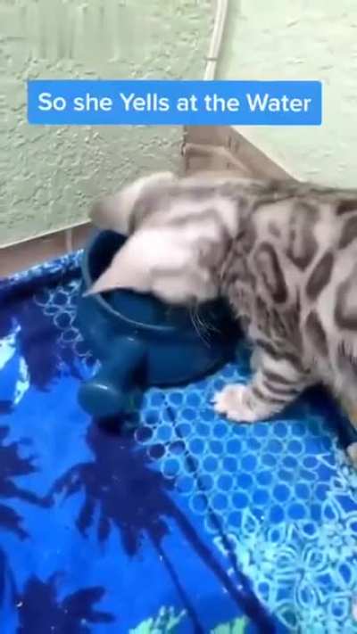Damn you water