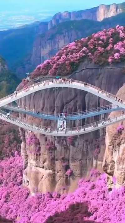 ? The Ruyi bridge, Shenxianju scenic area located in the Zhejiang Province of China.