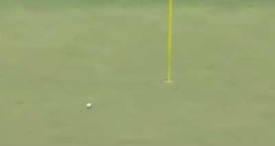 A caddy hits a hole in one infront of Golf Legends