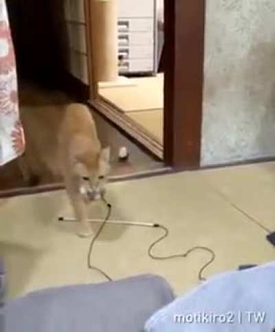 Play with me Human