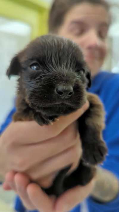 First day at the shelter ? He had a lot to say!