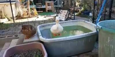 When you wanna take a bath...