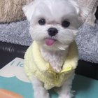 So handsome