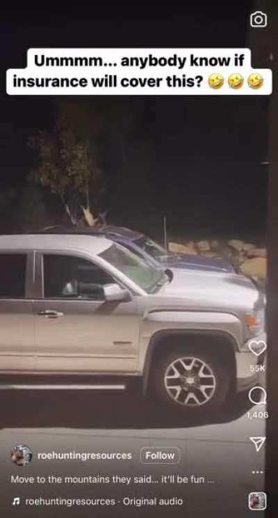 Fuck your cars!