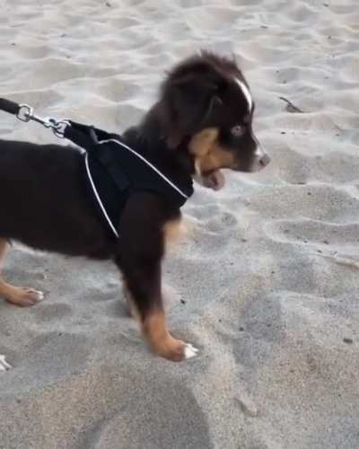 Trying sand