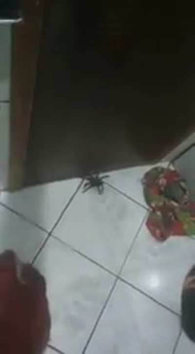 Locking yourself with a spider