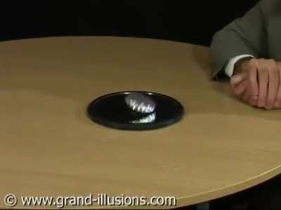 Eulers disc