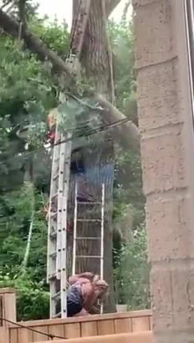 Tree cutting gone wrong