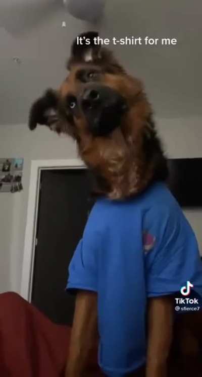 Looks like a human wearing a dog mask