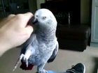 Bird lays down the law: "Don't touch me. "