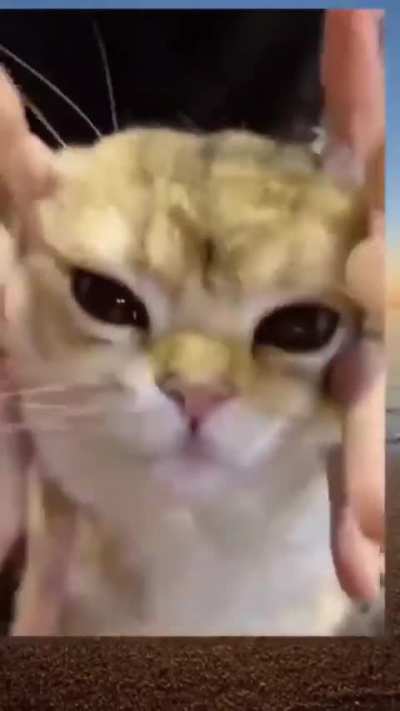 THEeeEe FRICkkKING EYEESSS ?