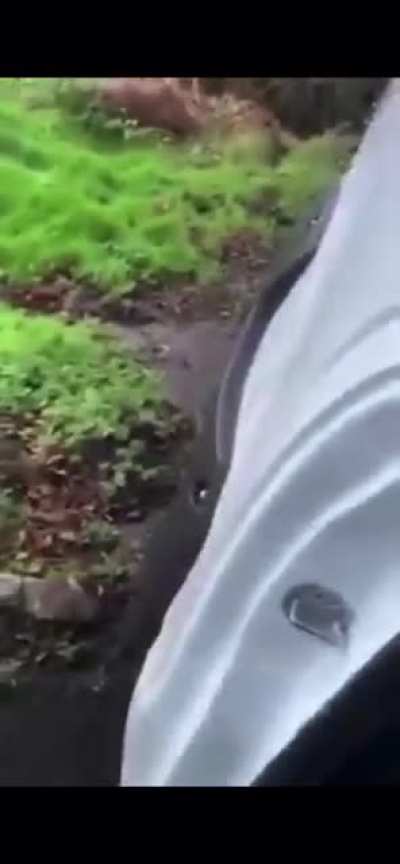 WCGW Getting a Taxi