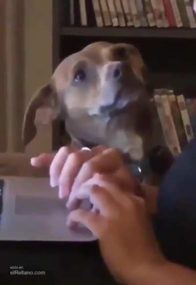 Peeper the awkward