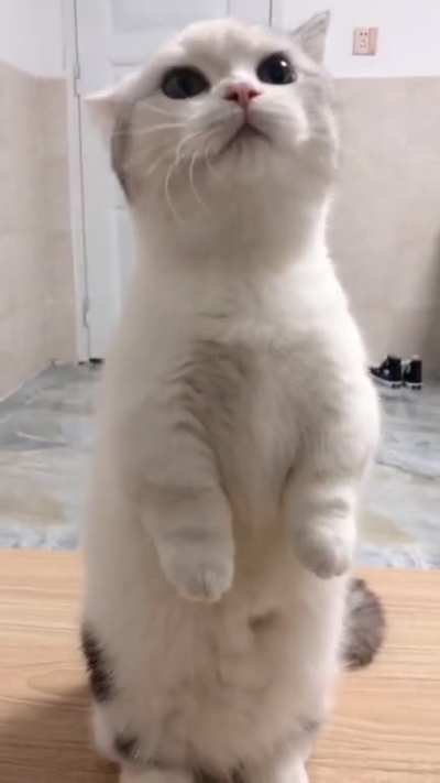She is asking for a hug, but her hands are too short ?
