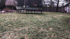 Sometimes he gets so excited that he forgets to actually grab the ball