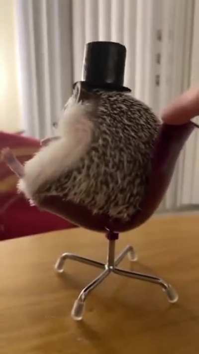 Mr Hedgehog : I'm gonna make you an offer you can't refuse ?
