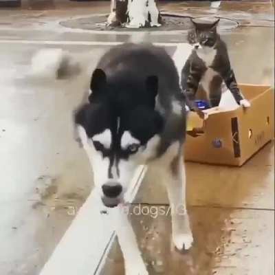 Make way....