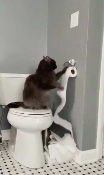 Caught red-handed and he’s still gonna finish what he started ??‍♀️ ?‍⬛
