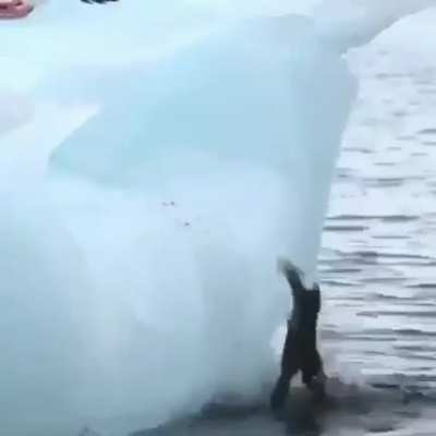 You can do it
