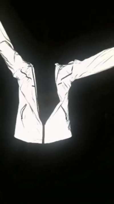 This ultra reflective jacket I can imagine this is a paparazzis worst nightmare