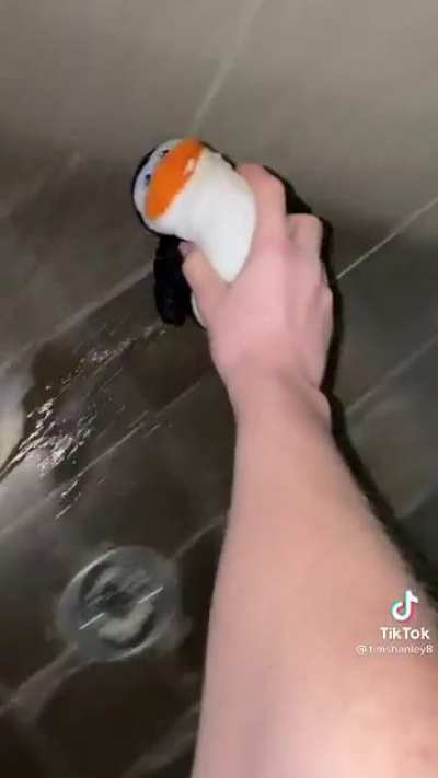Not the Normal TikTok cringe
