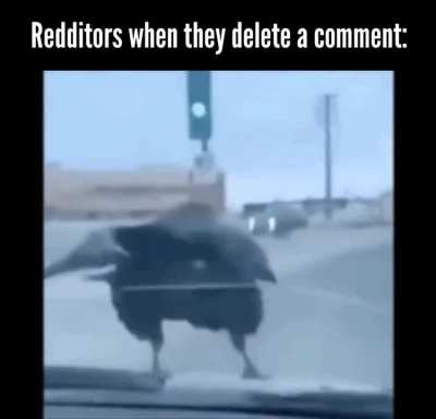 What did you say?!