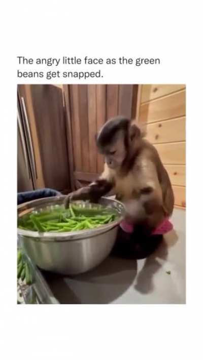 The little guy is trying his best?