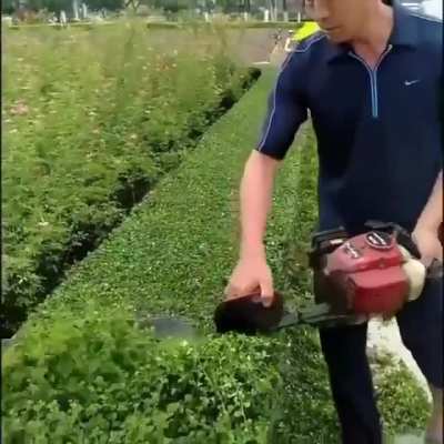 For those who love a trimmed bush ?✂️?