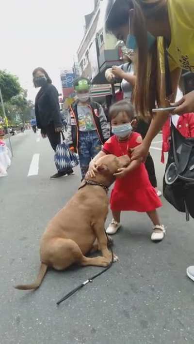 "But mom, let me take him home!"