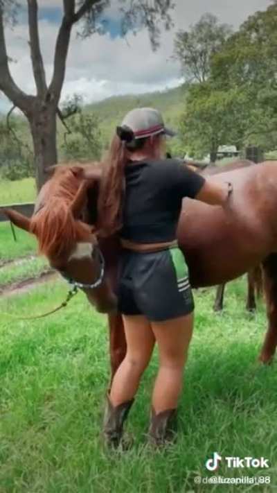 Guess it’s time to become a horse